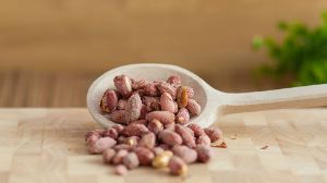 بادام زمینی برای کلیه؛ فواید، مضرات و میزان مصرف