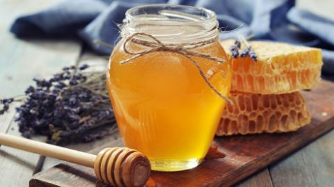 عسل گون بهتر است یا اویشن ؟ بررسی مزایای گون و آویشن