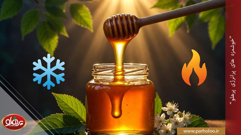 عسل کنار گرم است یا سرد؟ راهنمای کامل طبع، خواص و متعادل کردن آن