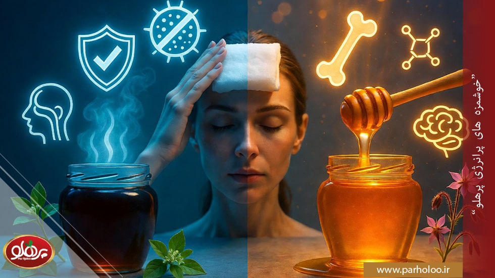 تفاوت عسل کنار با عسل گون: کدامیک بهتر است؟