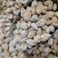 تصویر  بادام پوست کاغذی