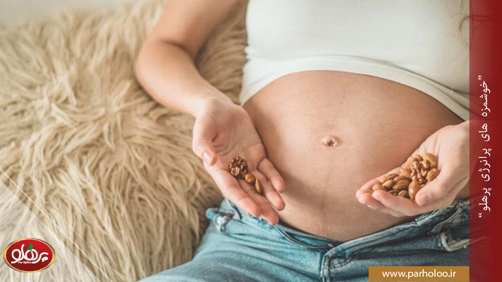 مصرف آجیل در بارداری: فواید، میزان مصرف و بهترین انواع آجیل برای زنان باردار