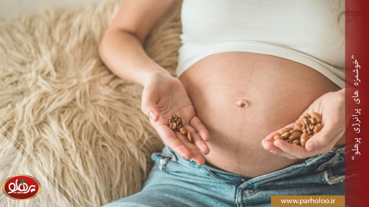 مصرف آجیل در بارداری: فواید، میزان مصرف و بهترین انواع آجیل برای زنان باردار