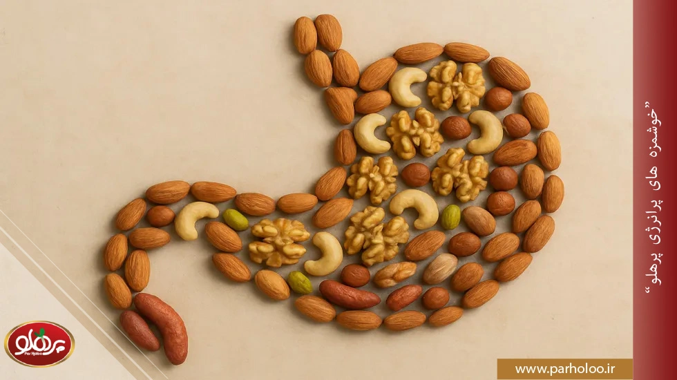 بهترین آجیل برای رفلاکس + 6 آجیل مناسب ناراحتی معده