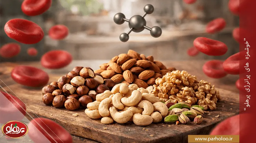 بهترین آجیل برای کم خونی [ترکیب 9 آجیل مفید فقر اهن]