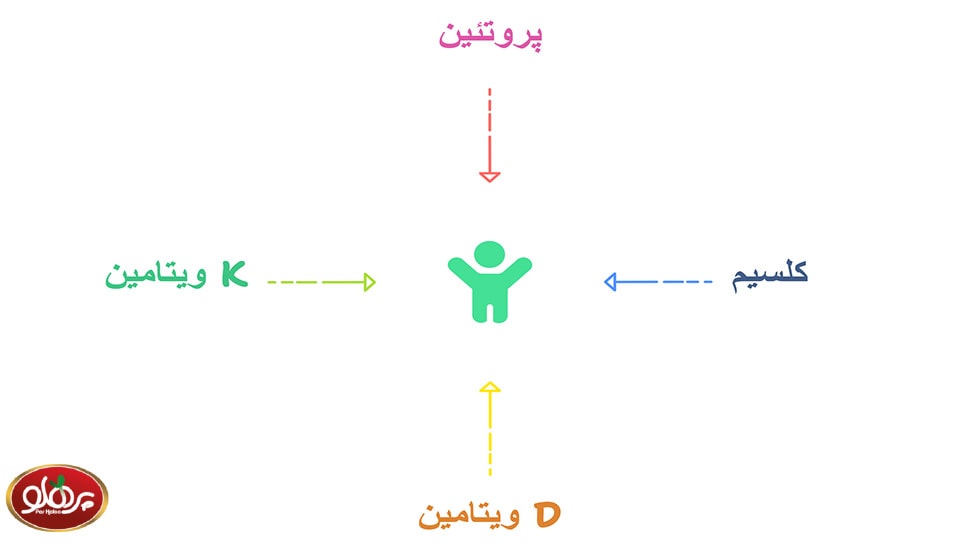 اینفوگرافیک مواد معدنی برای ترمیم شکستگی استخوان | پرهلو