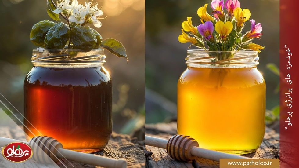 تفاوت عسل کنار و عسل گون از نظر رنگ، طبع و خواص | پرهلو مقایسه کامل عسل کنار و عسل گون طبیعی - کدام بهتر است؟ | پرهلو