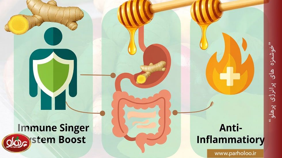 دمنوش زنجبیل و عسل طبیعی برای تقویت سیستم ایمنی و کاهش التهاب | پرهلو
