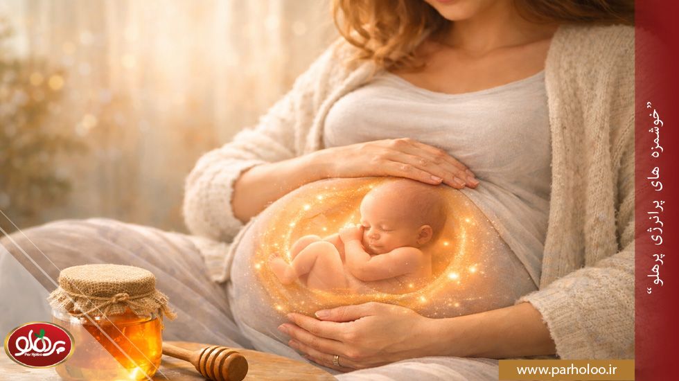 مصرف عسل در سهماهه اول بارداری؛ مفید یا مضر | پرهلو بررسی مصرف عسل در سهماهه اول بارداری و ایمنی آن برای مادر