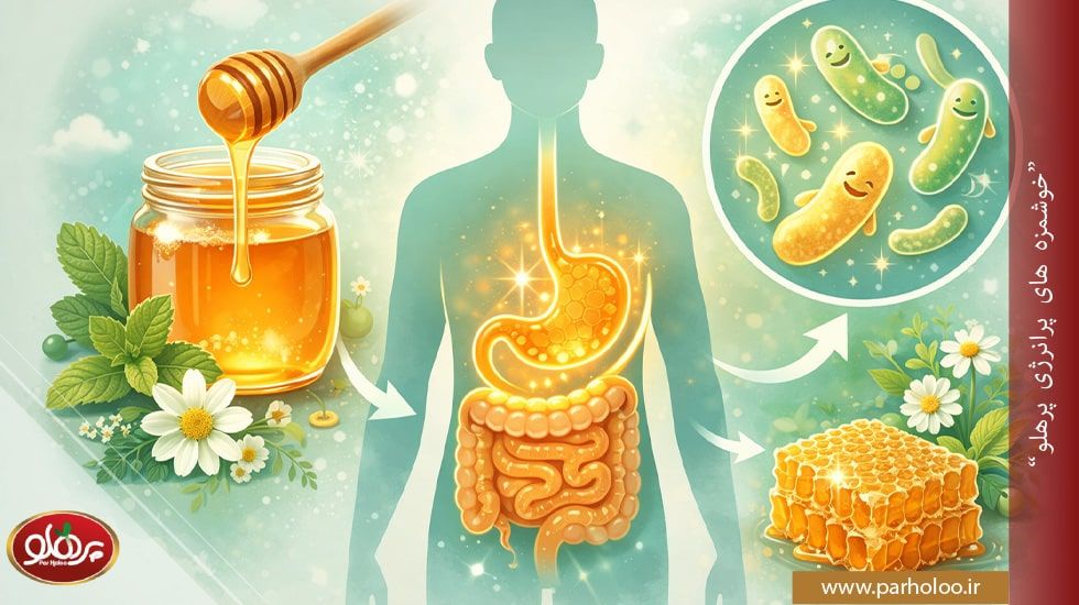 بهبود هضم و سلامت گوارش با مصرف عسل ناشتا | پرهلو تأثیر مصرف عسل با معده خالی بر بهبود عملکرد دستگاه گوارش