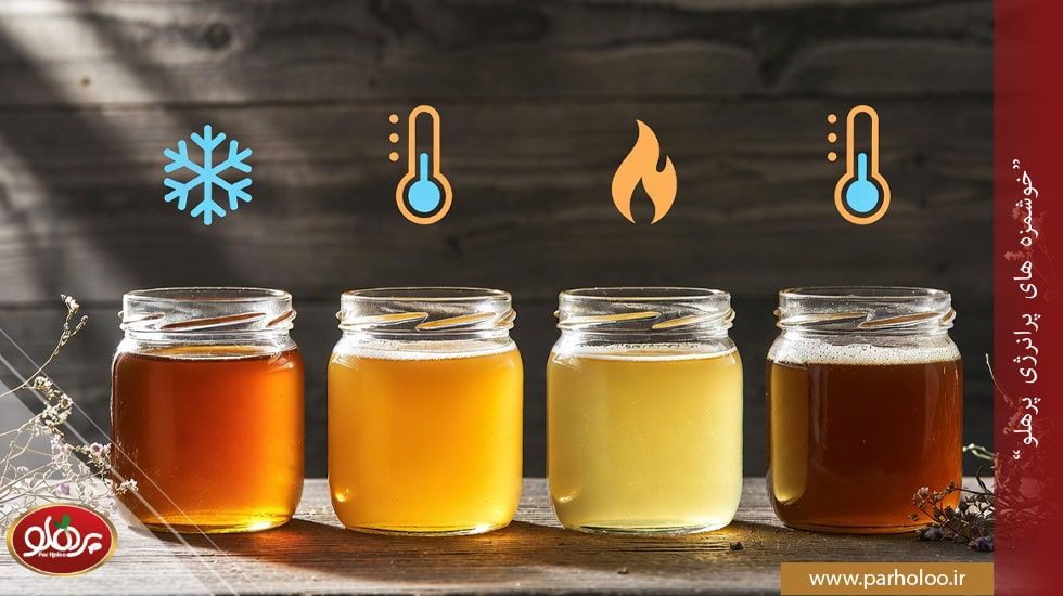 مقایسه انواع عسل طبیعی: عسل کنار (سرد)، آویشن (گرم)، گون و چهل گیاه - جدول طبع و خواص در طب سنتی | پرهلو
