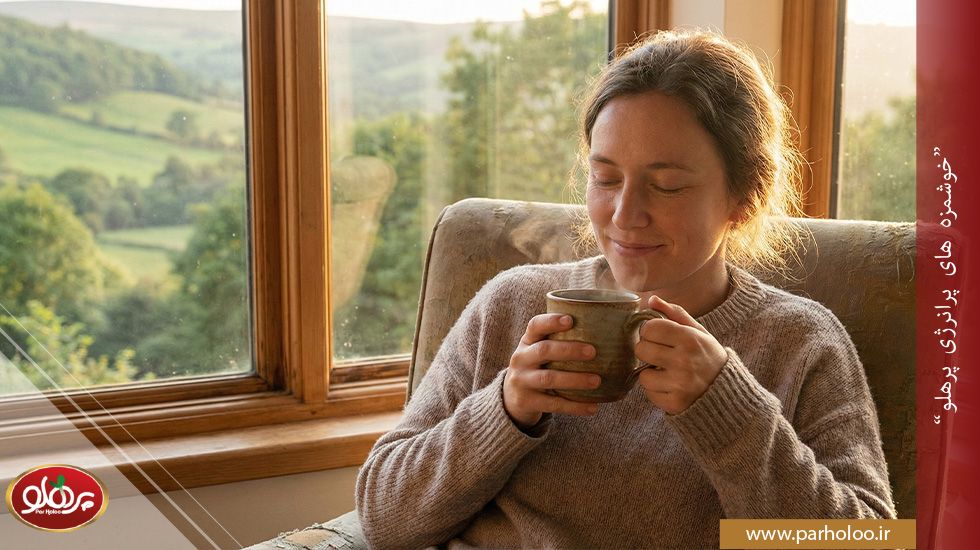 معجزه سرکه انگبین برای کاهش استرس و فشار عصبی | پرهلو تاثیر شربت سرکه انگبین بر آرامش اعصاب و روان