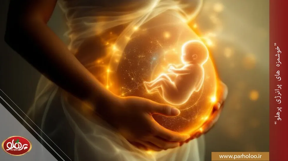 آجیل برای وزن گیری جنین