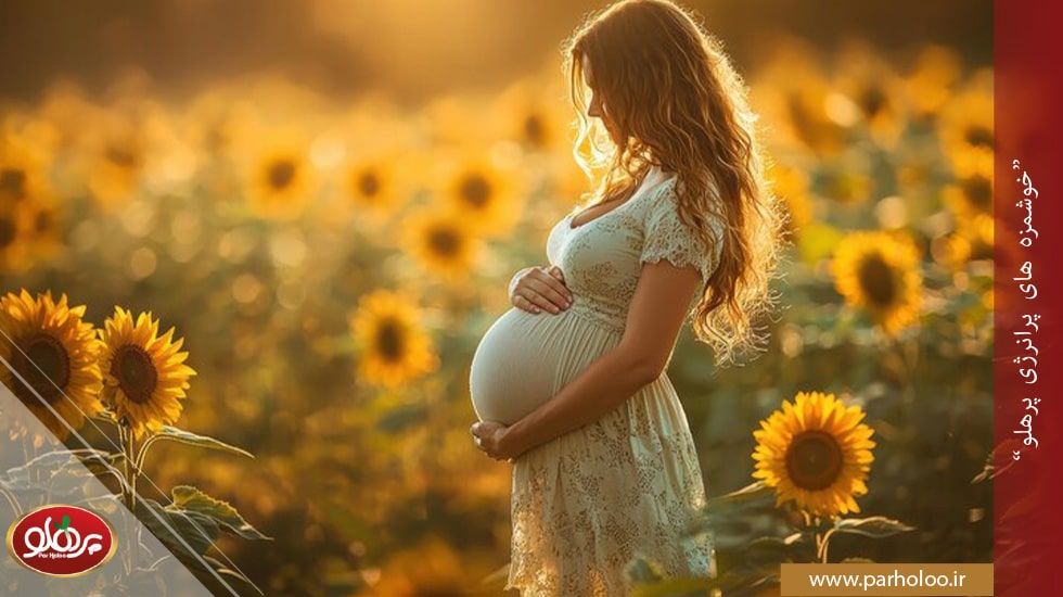 عسل سدر با خواص مغذی برای بارداری | پرهلو عسل کنار طبیعی برای زنان باردار | پرهلو