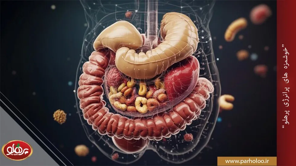 تاثیر آجیل بر رفلاکس معده