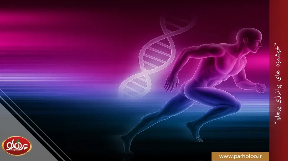 سبک زندگی سالم برای تقویت اسپرم و باروری و بهترین ورزش | پرهلو